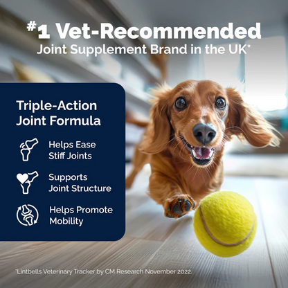 YuMOVE Joint Supplement for Adult Dogs I Tasty Bites Soft Chews